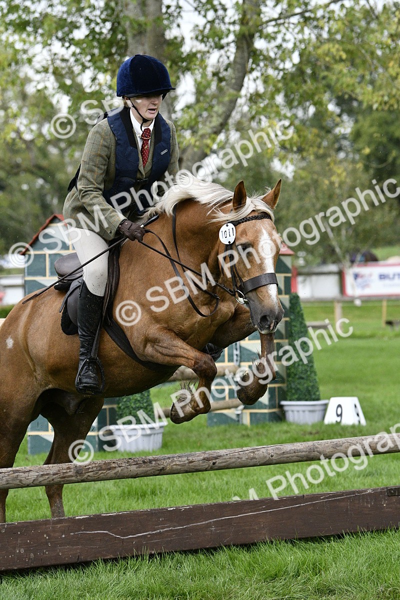 SBM_42241 - S32 - Mountain & Moorland Working Hunter Pony