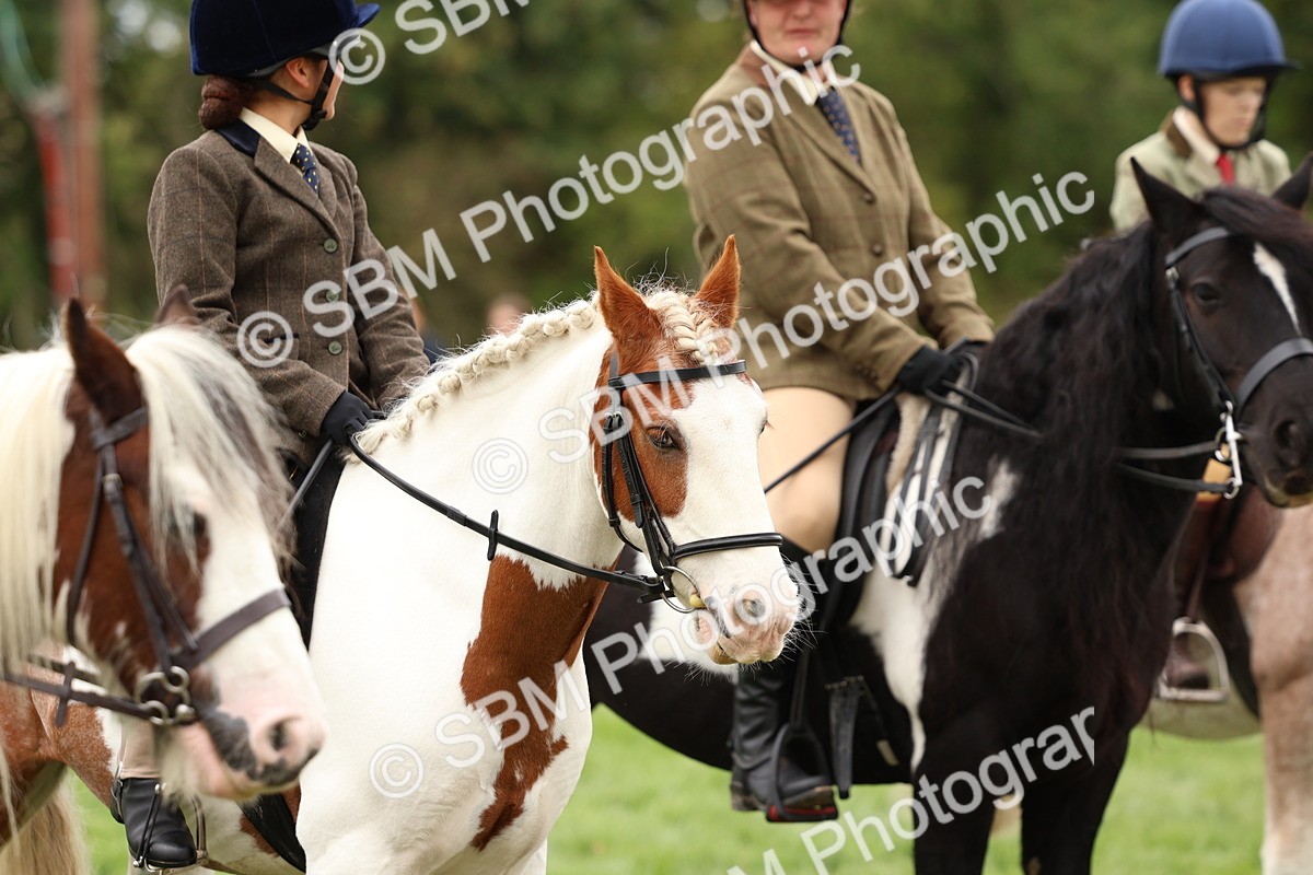 SBM_64645 - S58 - Coloured Pony Ridden