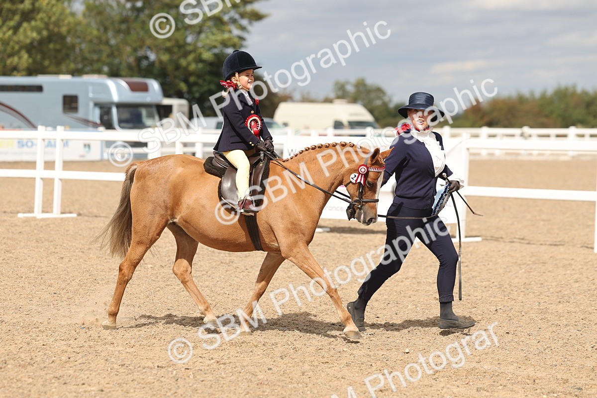 SBM_15855 - Class 309 - Lead Rein Pony