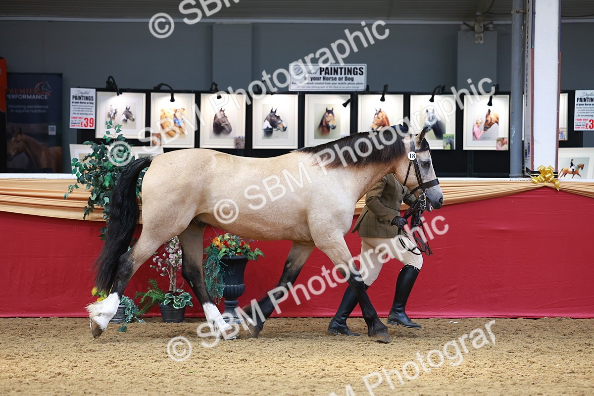 SBM_04190