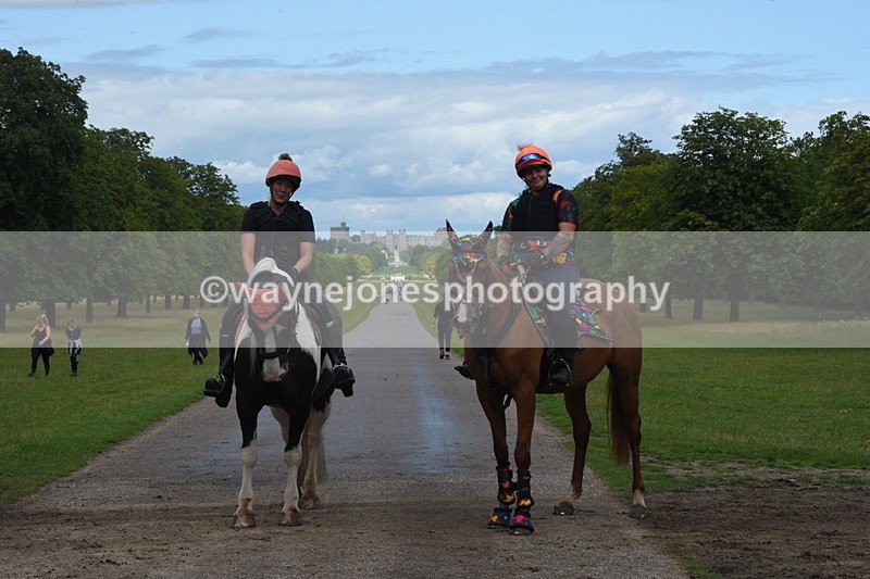 TT3_0257 - Time at Crossing 13:17 to 14:48