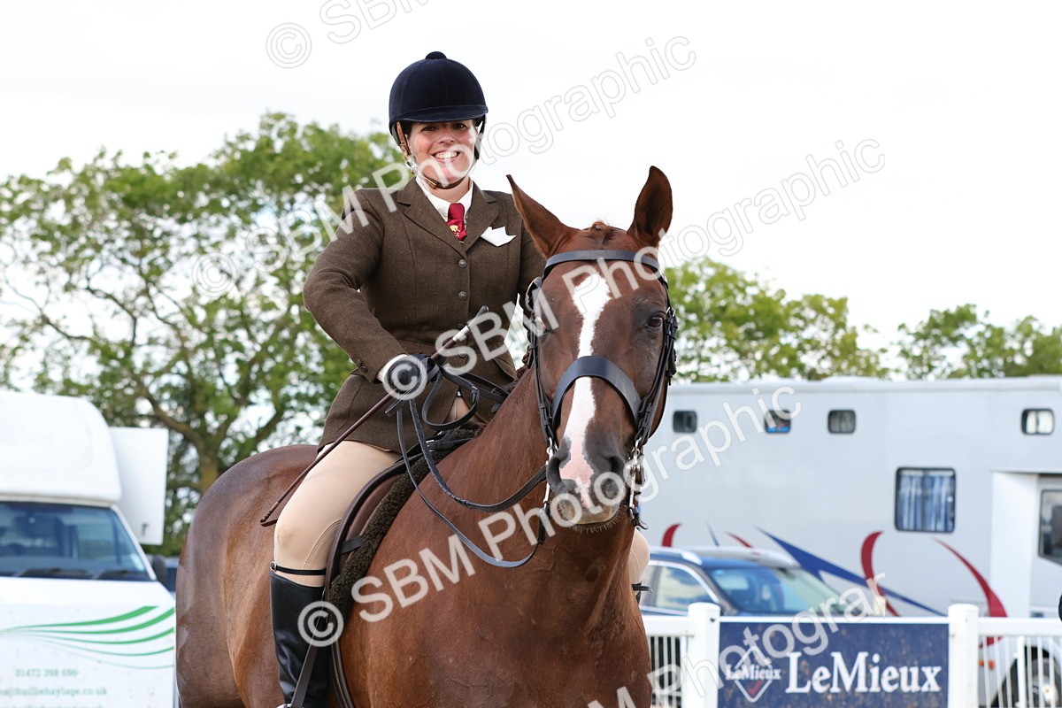 SBM_13536 - Class 212 - Ridden Hunter  - Large