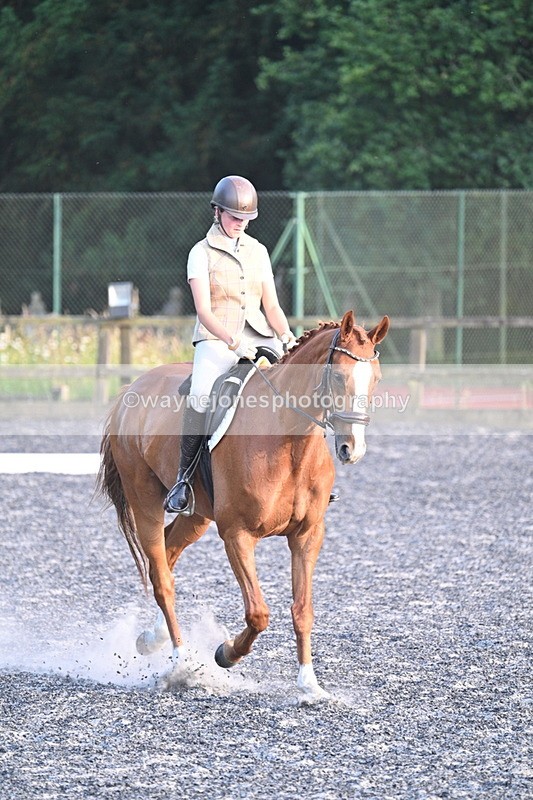 WJ7_0395 - Time 19:38 to 20:00