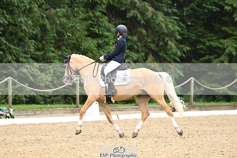 240811-122457-05819 - 301-Sophia.Longworth-Don.Deluxe