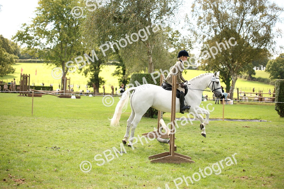SBM_42335 - S13 - Pony Club Pony