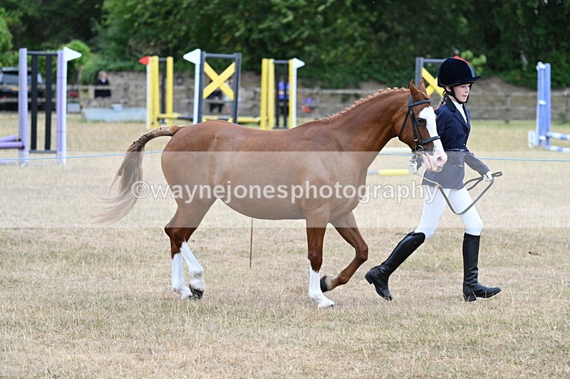 WJ7_8558 - Class 4 Prettiest Mare up to 14.2hh