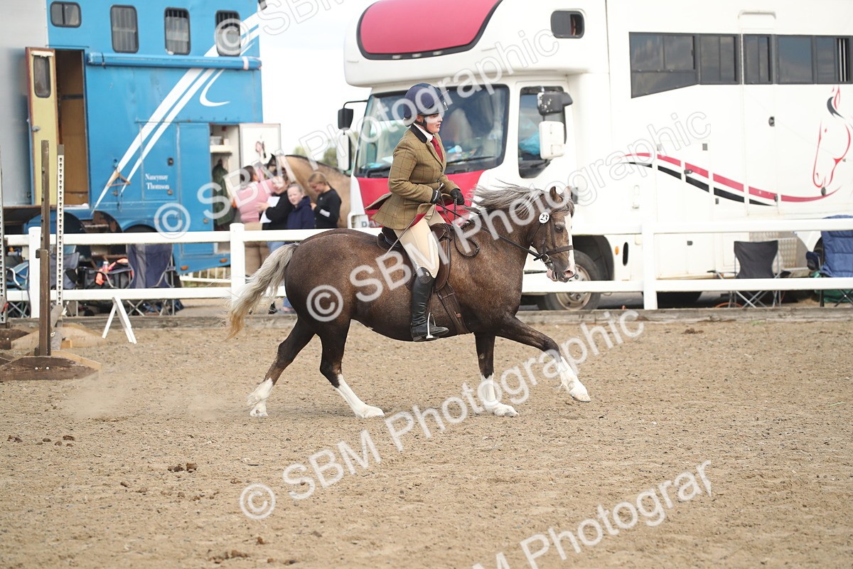 SBM_15176 - Class 505b - M&M Working Veteran - 50cm (20+)