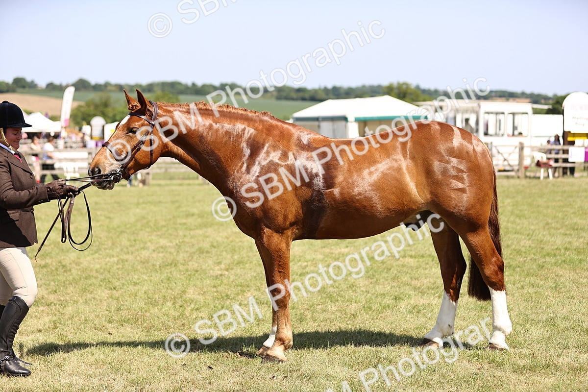 SBM_17772 - Class 81-83 - TSR Ridden Amateur of the Year - Horses