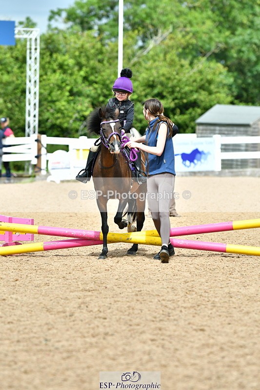 230804A-113257-02282 - Showjumping Competition