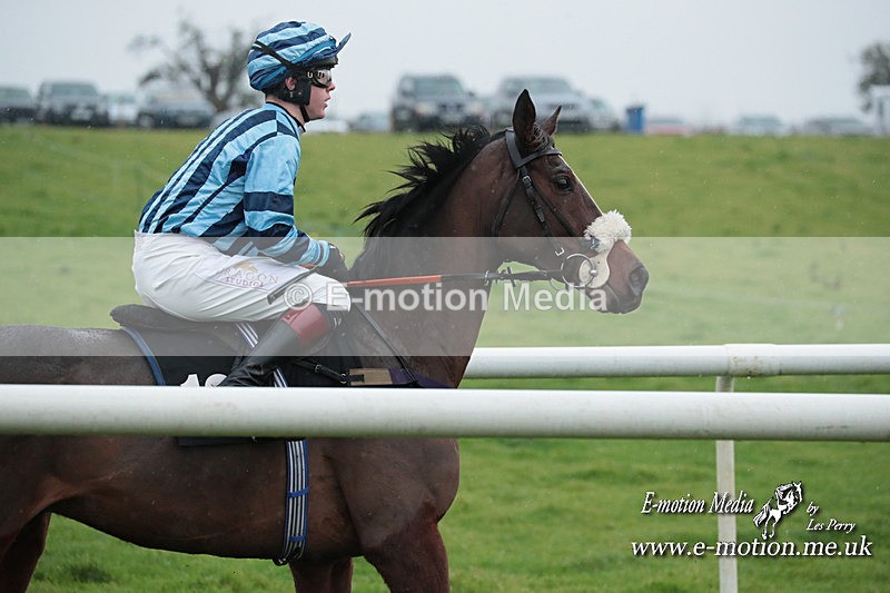 PtP 031223 617 - Wheatland Hunt PtP Chaddesley Races 03/12/23