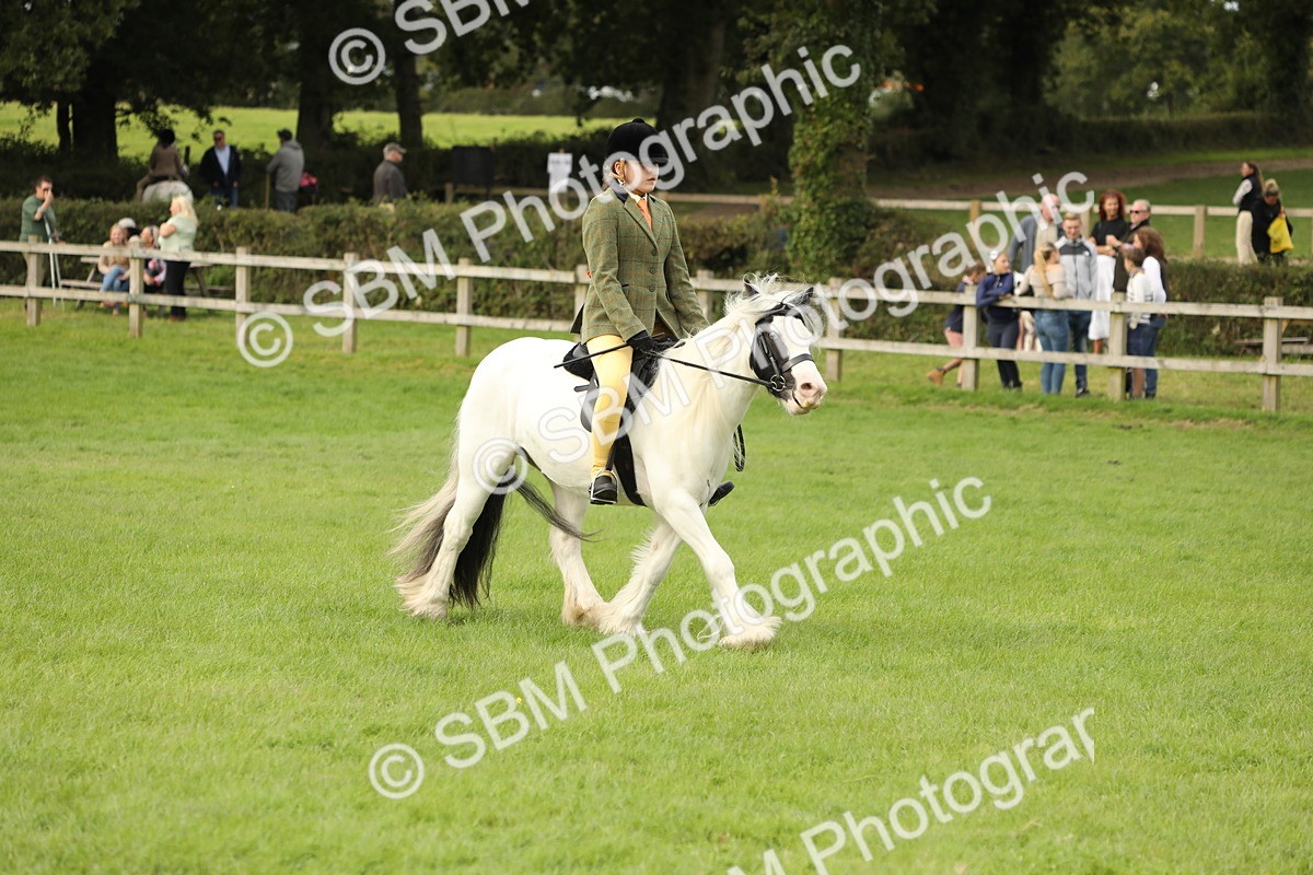 SBM_71565 - S41 - Ridden Equitation (Best Rider)