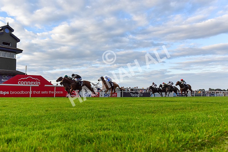 220724-Race 5-King Sharja-2-2 - Race 5