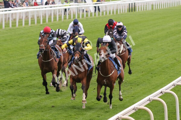 yr10062022r7-17 - Race 7 5.10pm Andy Thornton Hospitality Furniture Stakes