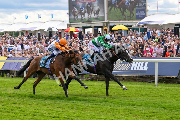 310525-Race 2-Tadej-8957 - Race 2 2.05pm Irish Thoroughbred Marketing EBF Restricted Novice Stakes