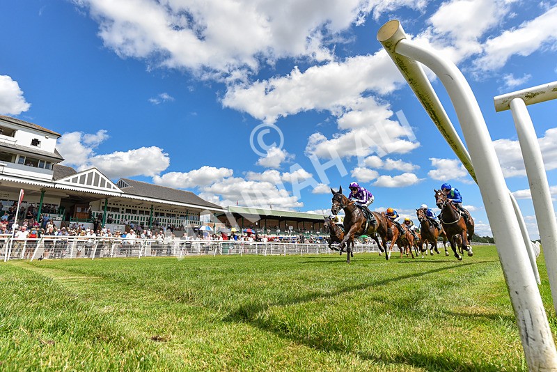 080726-Race 2-Penny Capri-2110 - Race 2 14.30pm Download The Raceday Ready App Nursery Handicap