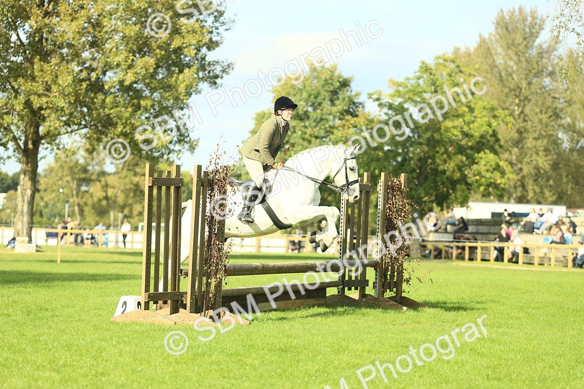 SBM_50542 - S33 - Working Hunter & Working Show Horse