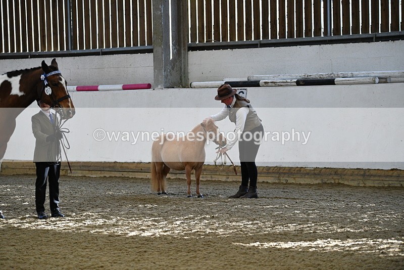 WJ5_3912 - Class 5 In Hand Veterans