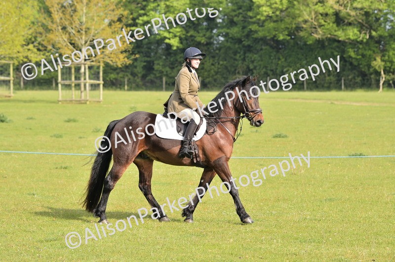 20260426-0864 - Class 18 - Novice Showing
