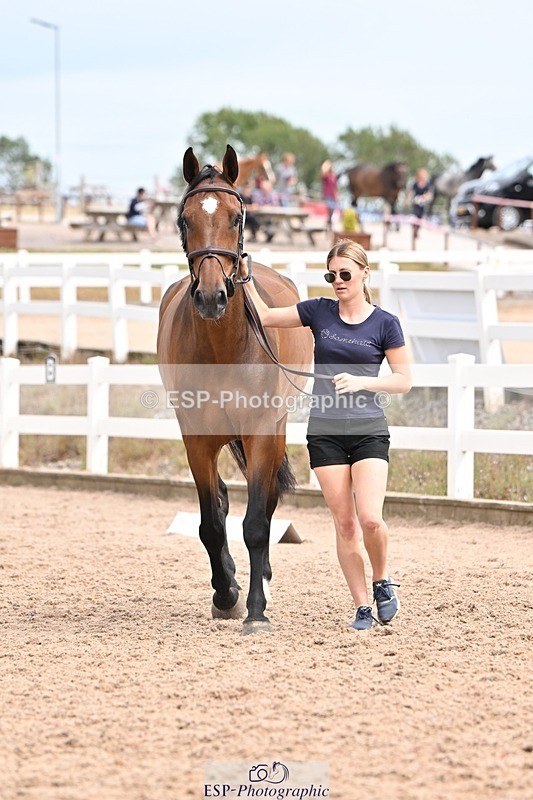 250716-153358-02019 - Trot Up 3.30 to 4.30