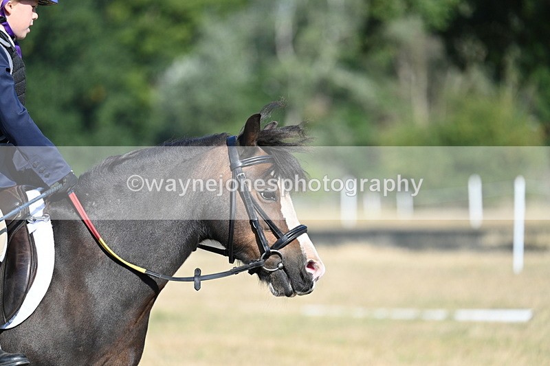 WJ7_8937 - Time 09:27 to 10:03