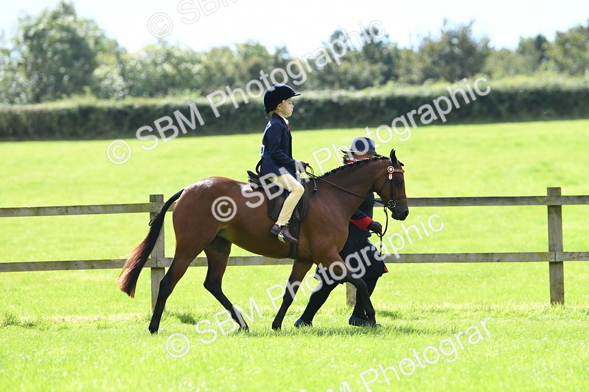 SBM_41172 - S19 - Lead Rein Show & Show Hunter Pony