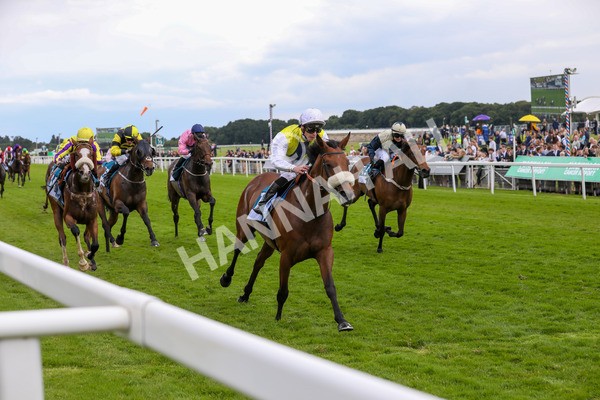 140624-Race 5-Invisible Friend-5760 - Race 6 4.45pm Irish Thoroughbred Marketing Handicap