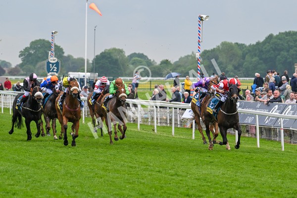 150524-Race 2-Aleezdancer-3811 - Race 2 2.45pm Churchill Tyres Handicap