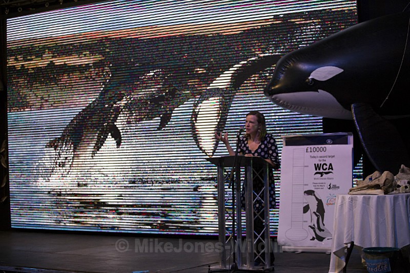 Miranda Krestovnikoff at Whalefest REF WFMK6 - MIRANDA KRESTOVNIKOFF images from Whalefest 2014 in Brighton