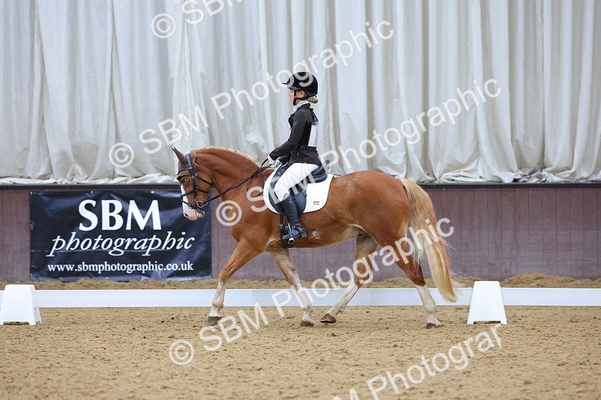 SBM_004193 - Intermediate