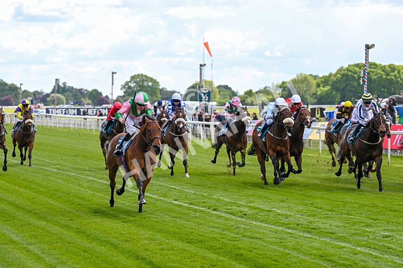 140526-Race 2-Jakajaro-4574 - Race 2 2.20pm Lindum York Handicap
