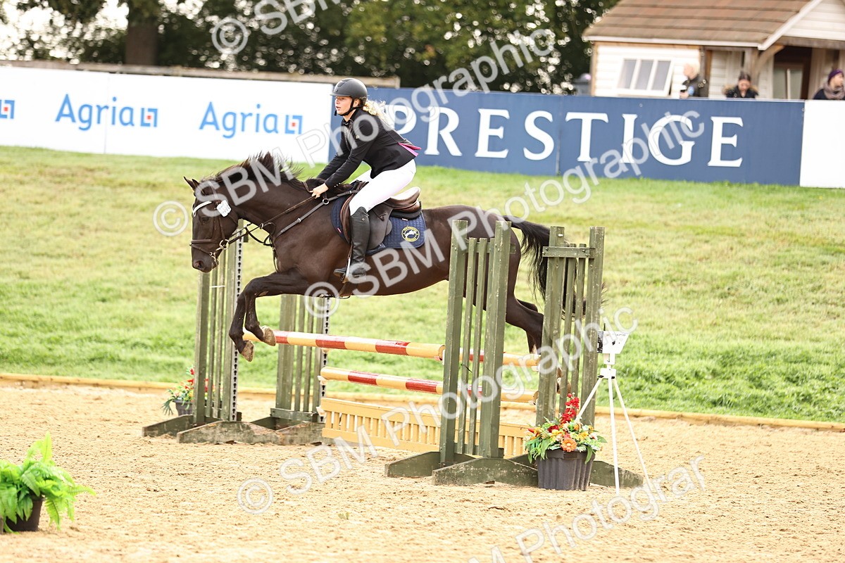 SBM_58473 - J41 - Grand Tour Horse & Pony 95cm