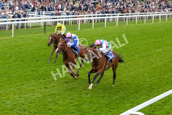 150624-Race 3-Klondike-6130 - Race 3 3.00pm Sky Bet Race To The Ebor Grand Cup Stakes