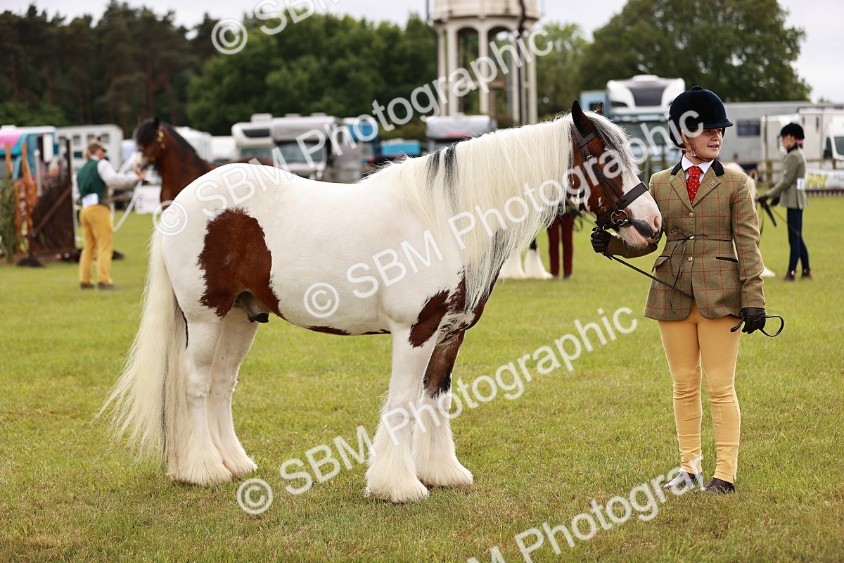 SBM_06060 - Class 39-41 TGCA In Hand and Ridden