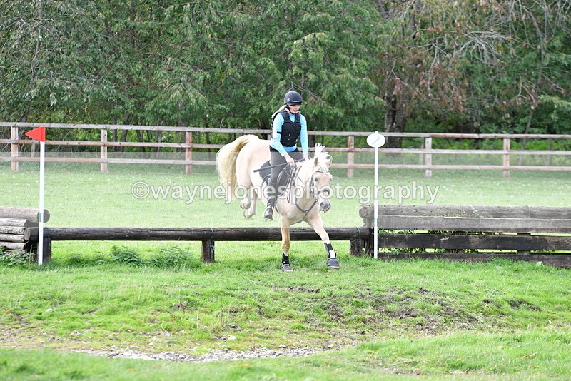 WJ5_0913 - Time 14:29 to 15:31