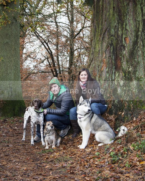 jenkev2 - Dog Portrait Photography