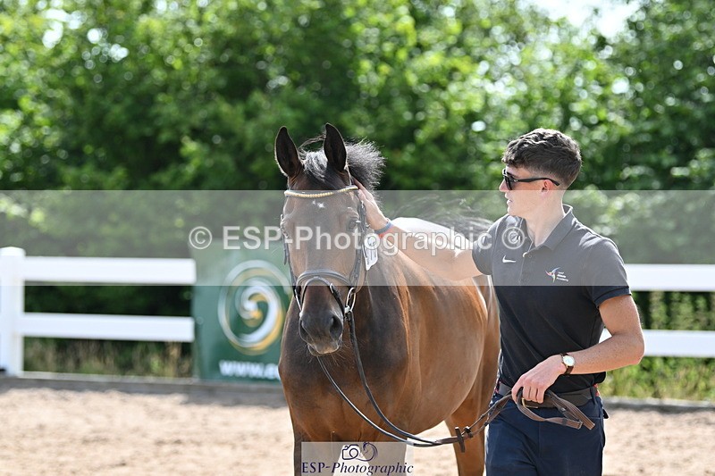 240717A-153456-02898 - Trot Up 3pm to 4pm