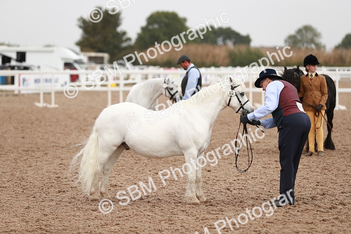 SBM_12504 - Class 207 IH M&M