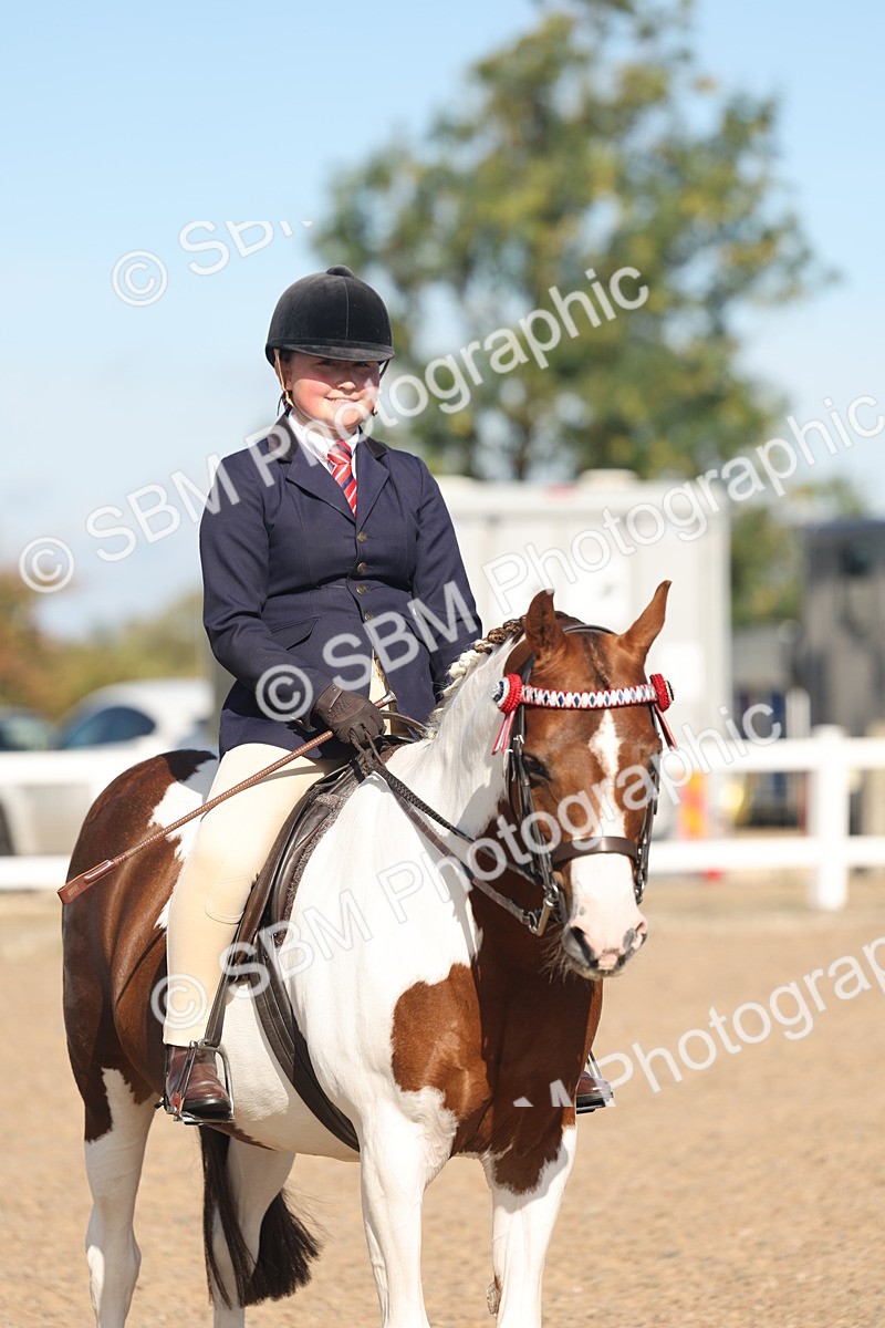 SBM_12363 - Class 304 - Ridden part Bred Horse Pony