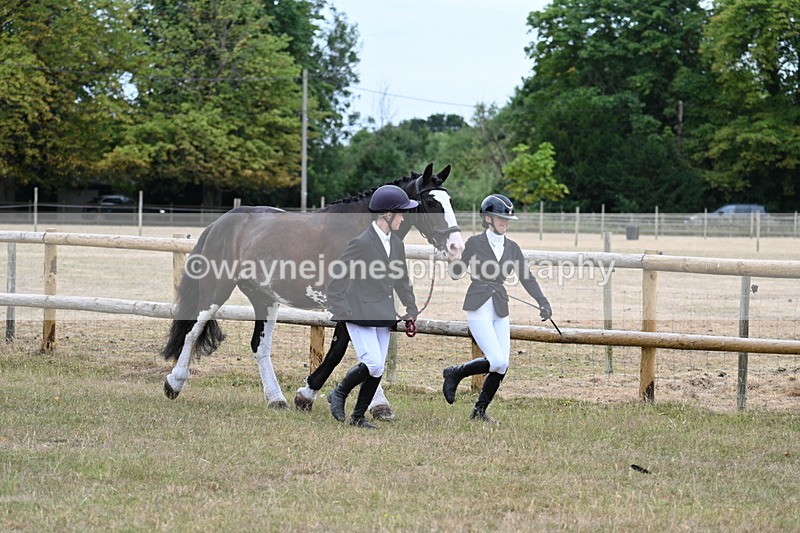 WJ7_8921 - Class 4a Prettiest Mare 14.2hh and over