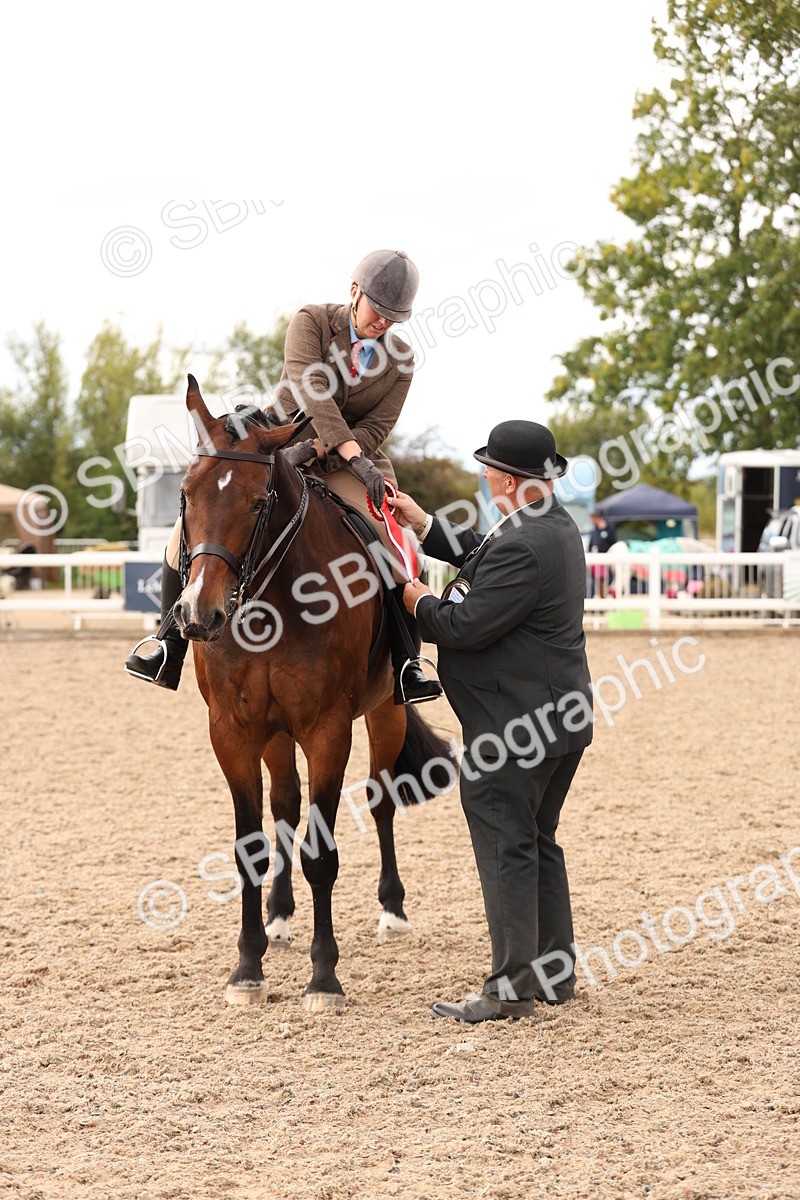 SBM_17273 - Class 213 - Ridden Hunter - Large