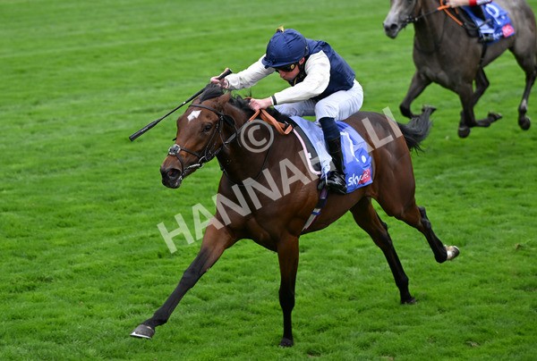 210825-010 Royal Fixation - Race 1 1.50pm Sky Bet Lowther Stakes