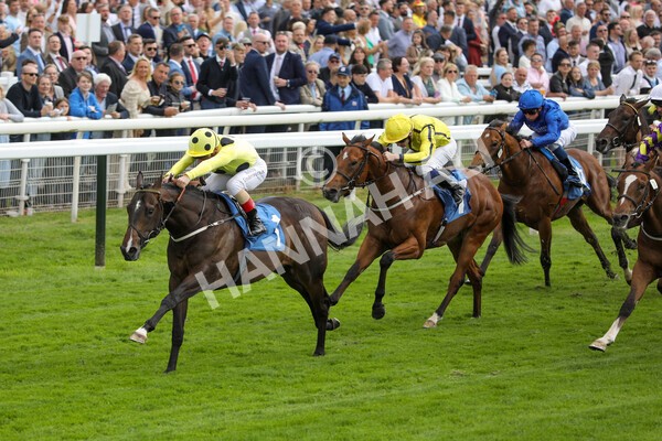 yr11062022r6-27 - Race 6 4.15pm Reg Griffin Appreciation EBFstallions.com Maiden Stakes