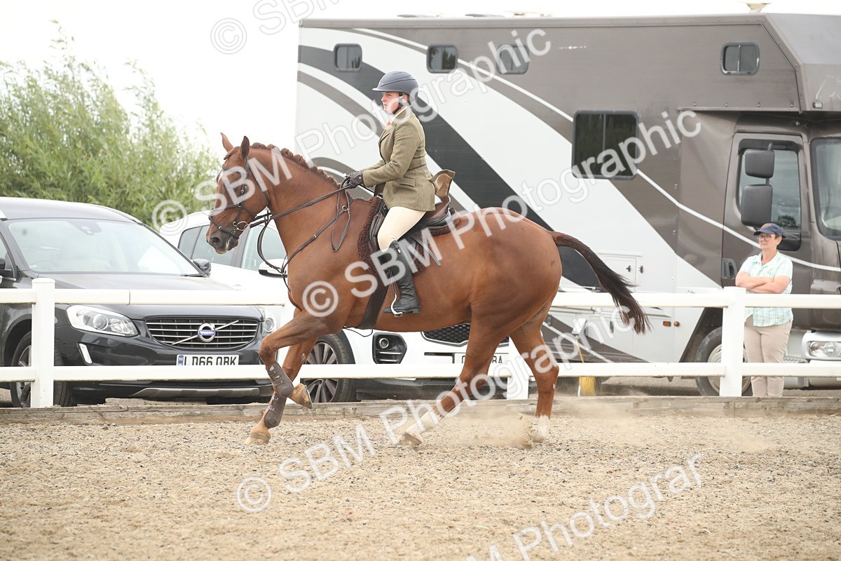 SBM_18273 - Class 509a - Working Veteran - 80cm (15-19)