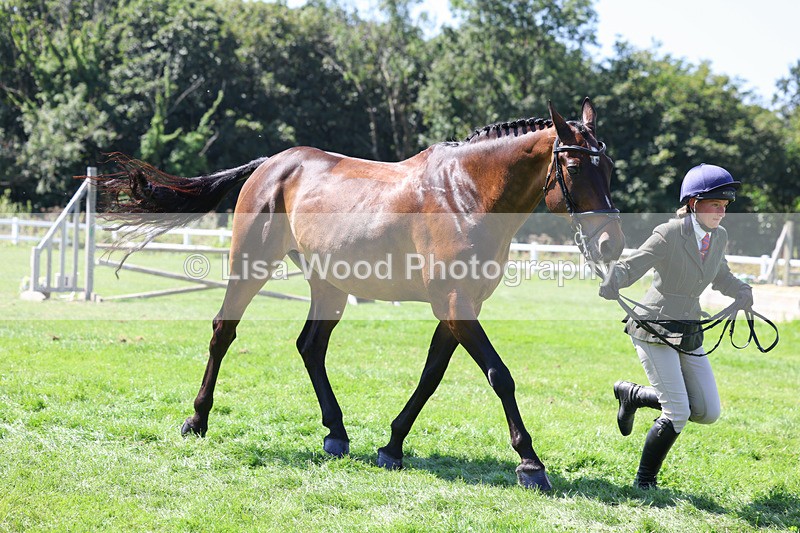 3E7A9093 - Class 6: Open Working Horse