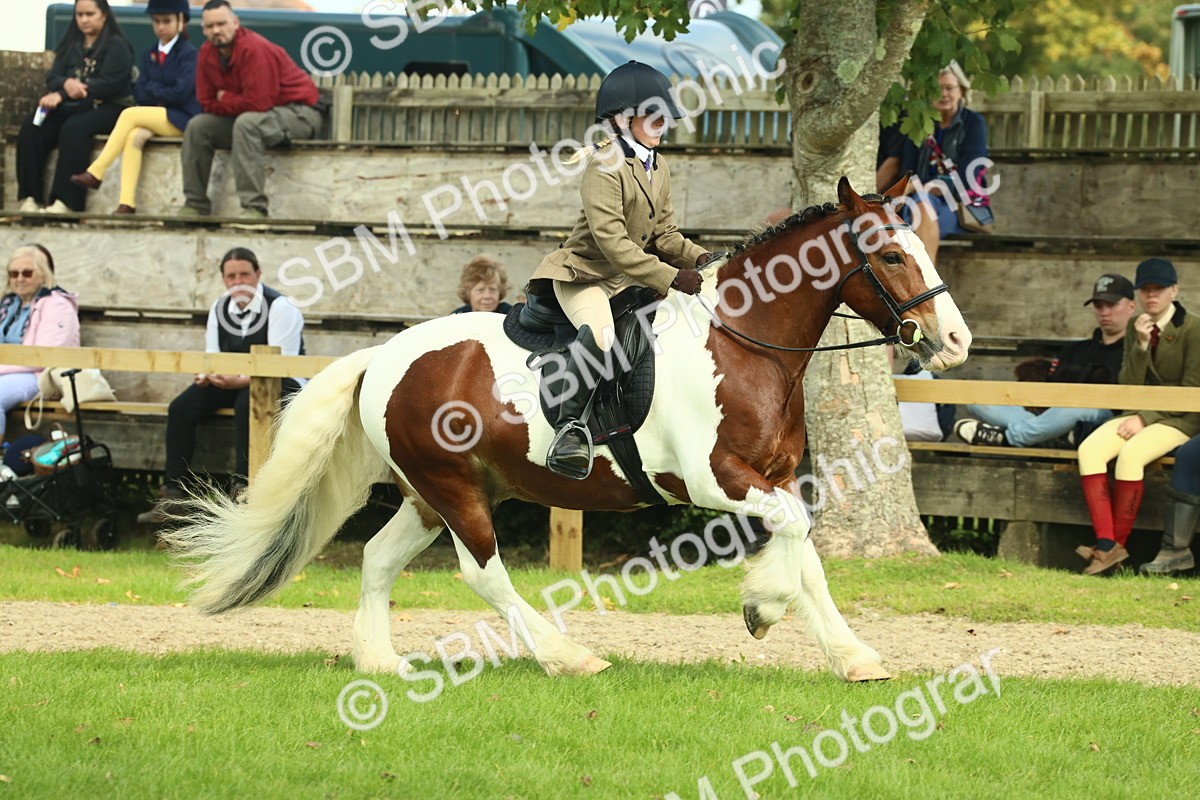 SBM_68848 - S58 - Mini Show Cob Ridden