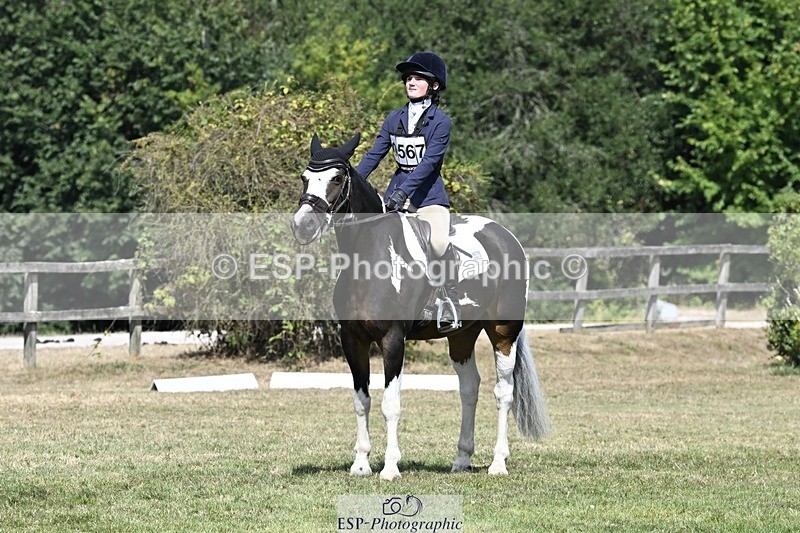 250822A-122305-22739 - DR 11.00 to 12.00