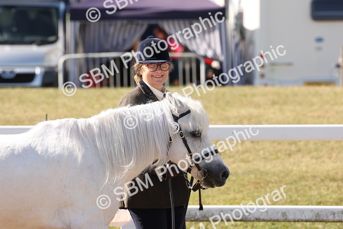 SBM_12864 - Class 206 - IH Non Show Type Pony