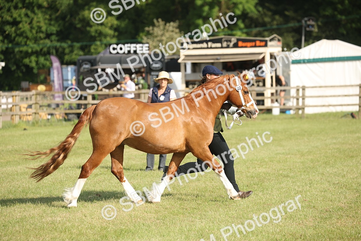 SBM_10446 - Class 33-38 - SSADL RIHS Qualifiers