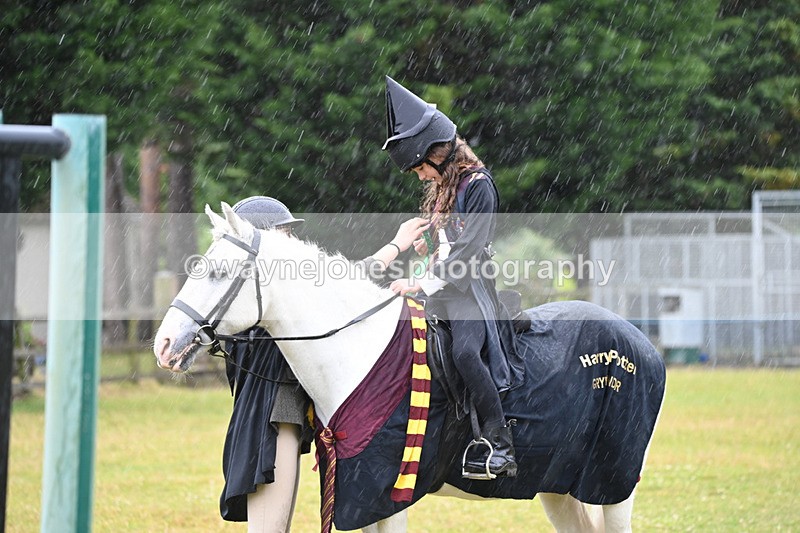WJ6_9413 - Class 11 Fancy Dress