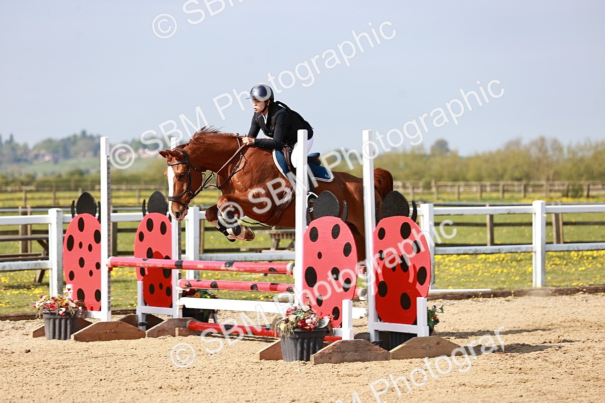  - Class 21 - Senior British Novice - 90cm